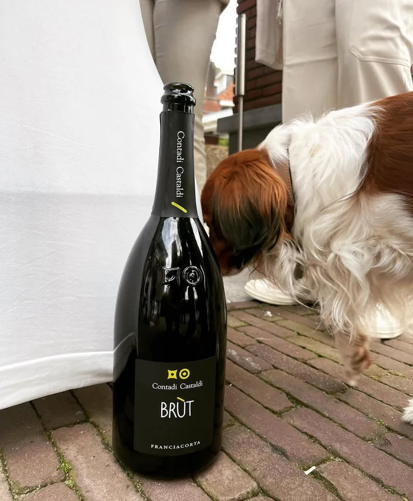 Magnum Franciacorta van Contadi Castaldi