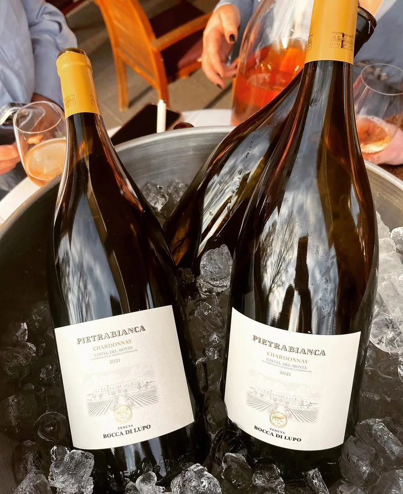 Drie magnums Pietrabianca, prachtige chardonnay uit Puglia